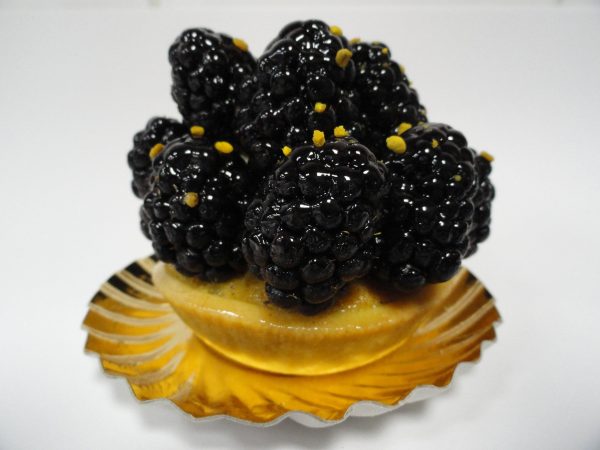 BLACKBERRY TARTLET Online Hot Sale