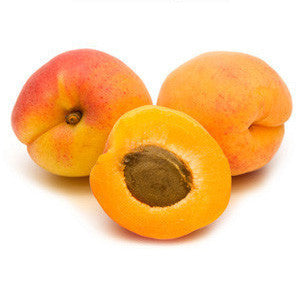 APRICOTS FROM USA Supply