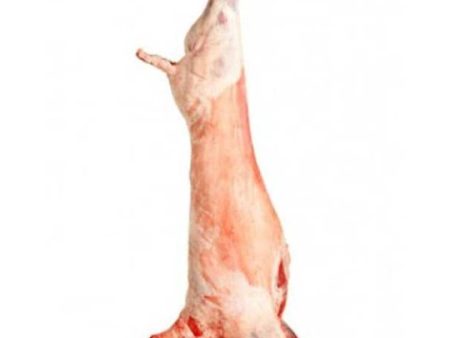 Halal Whole Lamb -18-25LB Fashion