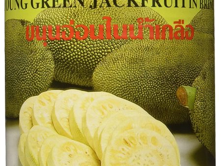 Young Green Jackfruit in Brine For Discount