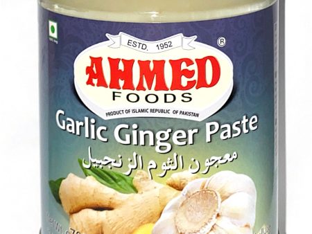 Garlic Ginger Paste Hot on Sale