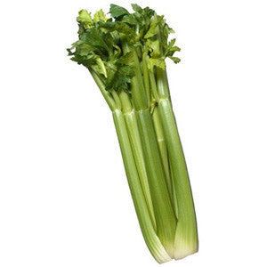 CELERY Discount