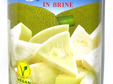 Green Jackfruit in Brine Online Hot Sale