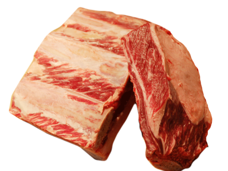 BEEF SHORT RIBS Fashion