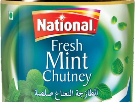 Fresh Mint Chutney on Sale