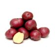 CREAMER POTATOES Online