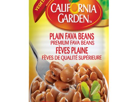 Premium Fava Beans Sale