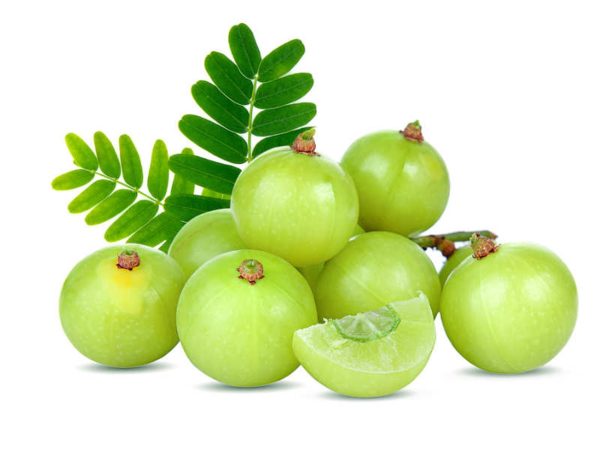 Amla Sale