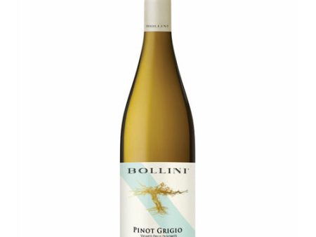 Bollini Vigneti Dolom Pinot Grigio 750ML Fashion