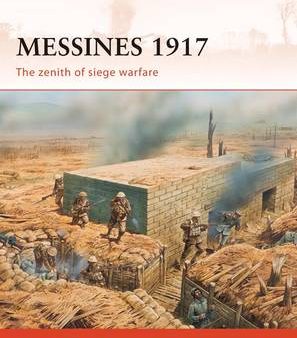 Alexander Turner: Messines 1917 [2010] paperback For Sale