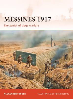 Alexander Turner: Messines 1917 [2010] paperback For Sale